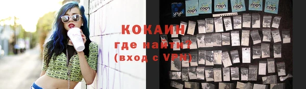 дмт Богородицк