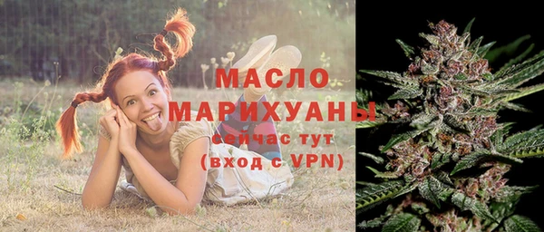дмт Богородицк
