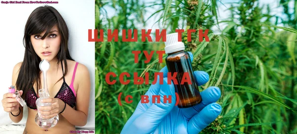 дмт Богородицк