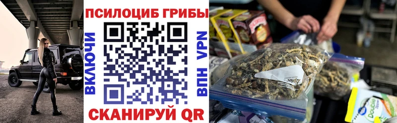 omg ONION  Крым  Псилоцибиновые грибы мицелий 